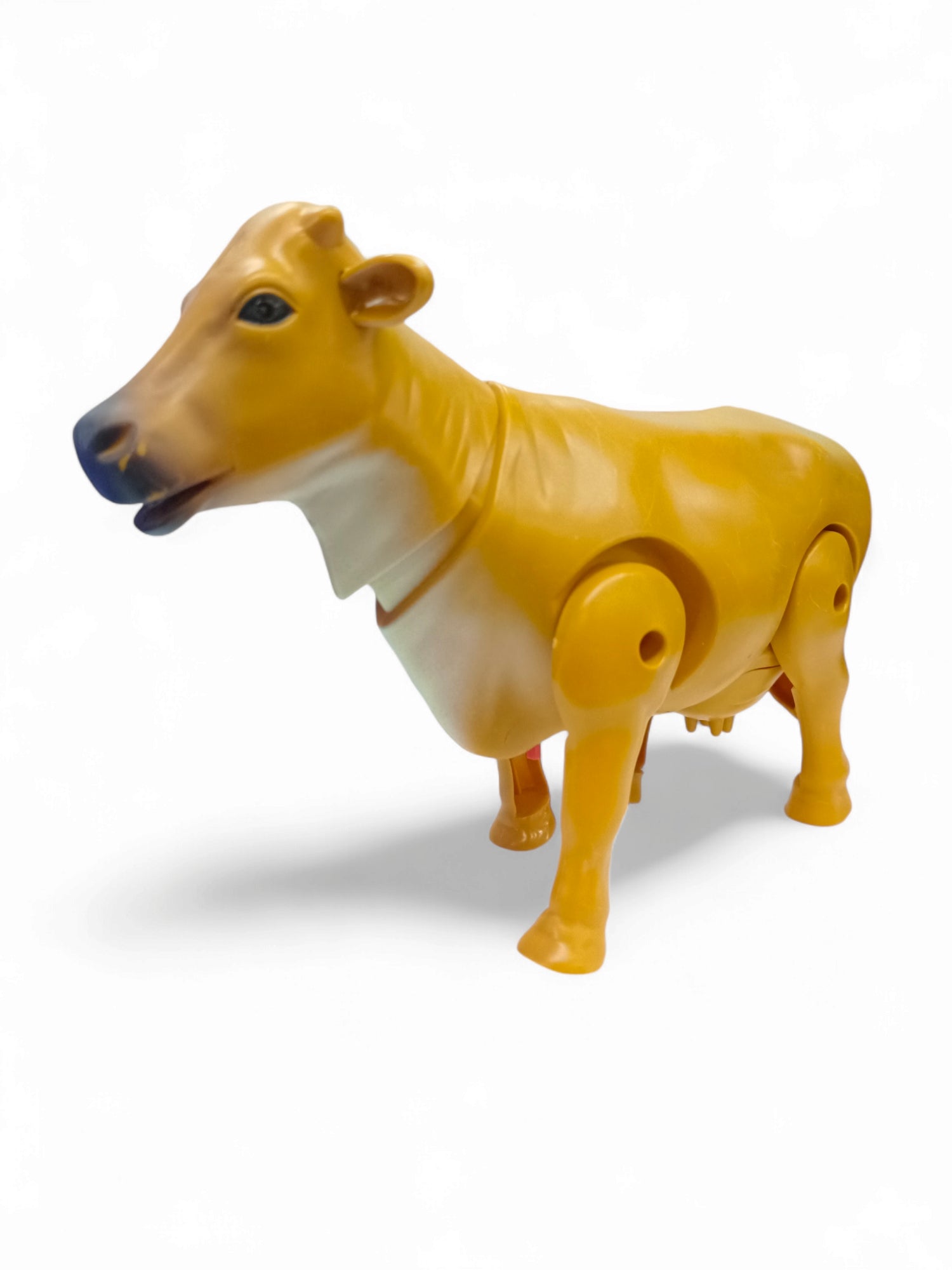 ZT FUNNY CALF ZT FUNNY CALF